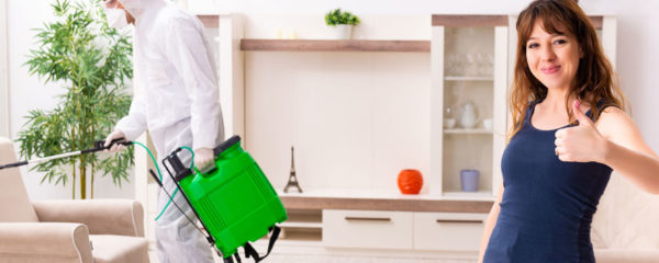insecticides