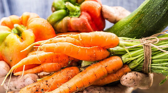 des-produits-frais-a-portee-de-main